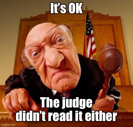 Mean Judge | It’s OK The judge didn’t read it either | image tagged in mean judge | made w/ Imgflip meme maker