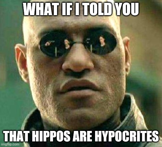 What if i told you | WHAT IF I TOLD YOU; THAT HIPPOS ARE HYPOCRITES | image tagged in what if i told you | made w/ Imgflip meme maker