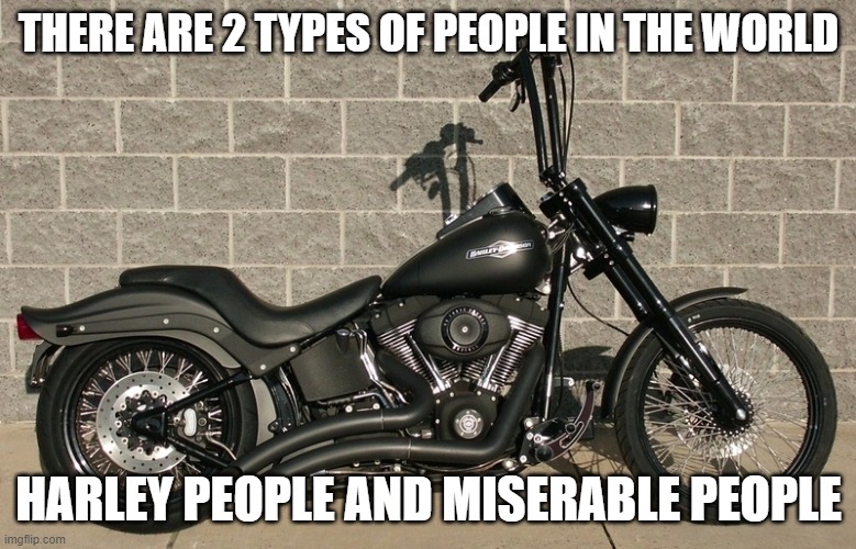 Harley happy people | THERE ARE 2 TYPES OF PEOPLE IN THE WORLD; HARLEY PEOPLE AND MISERABLE PEOPLE | image tagged in harley davidson,unhappy people | made w/ Imgflip meme maker