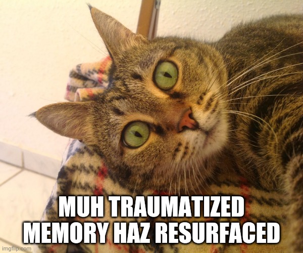 MUH TRAUMATIZED MEMORY HAZ RESURFACED | made w/ Imgflip meme maker