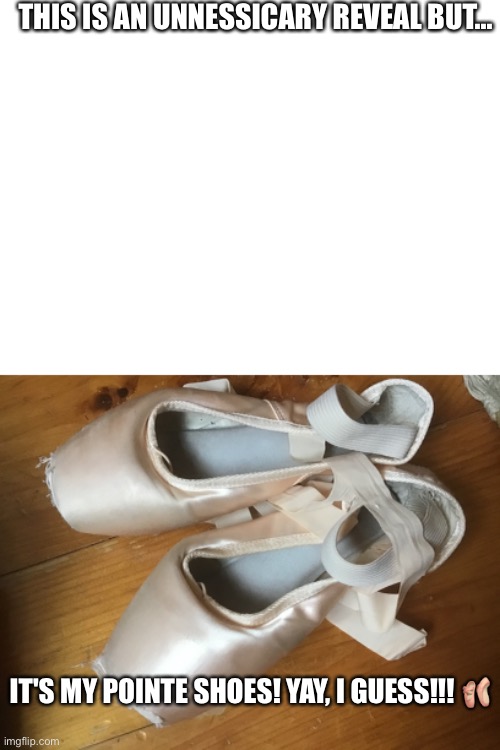 First pair so BOOYAH please don't make fun of it, please please | THIS IS AN UNNESSICARY REVEAL BUT... IT'S MY POINTE SHOES! YAY, I GUESS!!! 🩰 | image tagged in blank white template | made w/ Imgflip meme maker