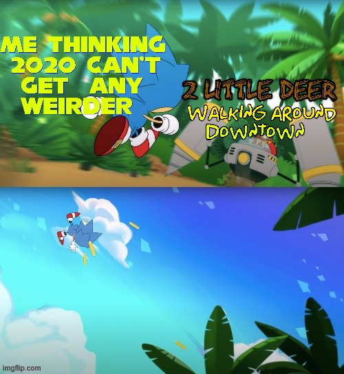 I spelled deer wrong last time, that probably made the Spanish version weird | image tagged in sonic gets yeeted,sonic the hedgehog,oregon,2020,sonic,so true memes | made w/ Imgflip meme maker