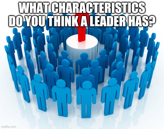 leadership | WHAT CHARACTERISTICS DO YOU THINK A LEADER HAS? | image tagged in leadership | made w/ Imgflip meme maker