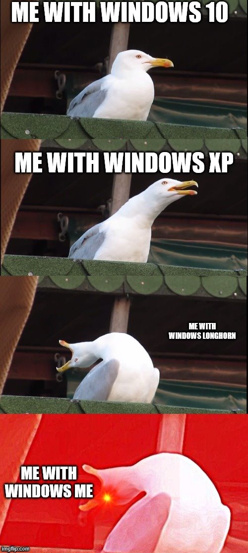 Screaming seagull | ME WITH WINDOWS 10; ME WITH WINDOWS XP; ME WITH WINDOWS LONGHORN; ME WITH WINDOWS ME | image tagged in screaming seagull | made w/ Imgflip meme maker