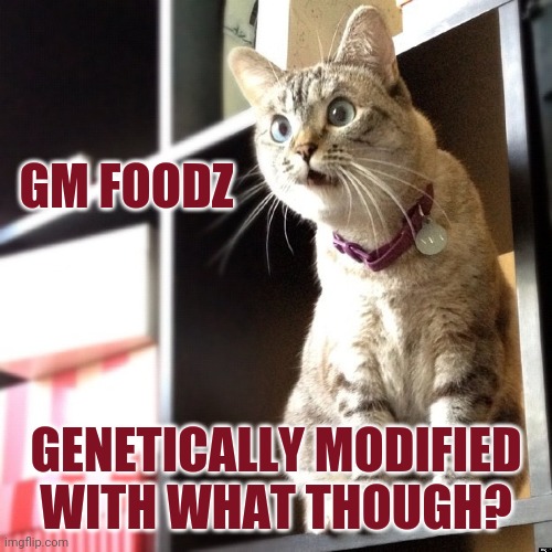 GM FOODZ GENETICALLY MODIFIED WITH WHAT THOUGH? | made w/ Imgflip meme maker