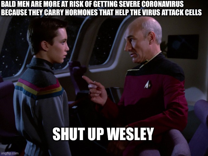 Picard and Wesley | BALD MEN ARE MORE AT RISK OF GETTING SEVERE CORONAVIRUS BECAUSE THEY CARRY HORMONES THAT HELP THE VIRUS ATTACK CELLS; SHUT UP WESLEY | image tagged in picard and wesley | made w/ Imgflip meme maker
