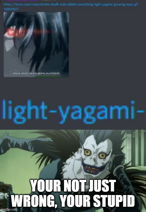 Big oof | YOUR NOT JUST WRONG, YOUR STUPID | image tagged in ryuk,death note,you're not just wrong your stupid,light yagami,teru mikami | made w/ Imgflip meme maker