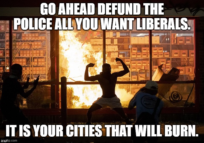 Go ahead.  Be careful what you wish for.  No police no peace. | GO AHEAD DEFUND THE POLICE ALL YOU WANT LIBERALS. IT IS YOUR CITIES THAT WILL BURN. | image tagged in looter autozone minneapolis | made w/ Imgflip meme maker