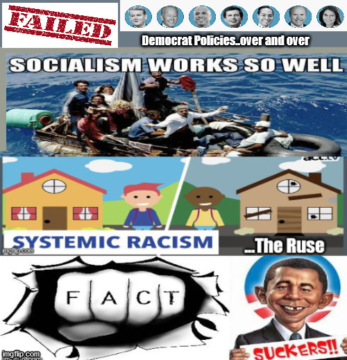 Systemic Racism EXCUSES for FAILED Democrat MOB Policies | image tagged in systemic racism,democrats,perversion party,natural laws | made w/ Imgflip meme maker