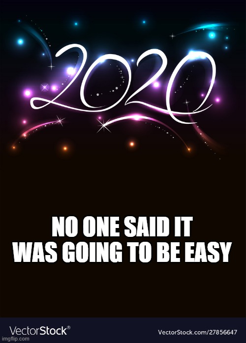 2020 | NO ONE SAID IT WAS GOING TO BE EASY | image tagged in 2020 | made w/ Imgflip meme maker
