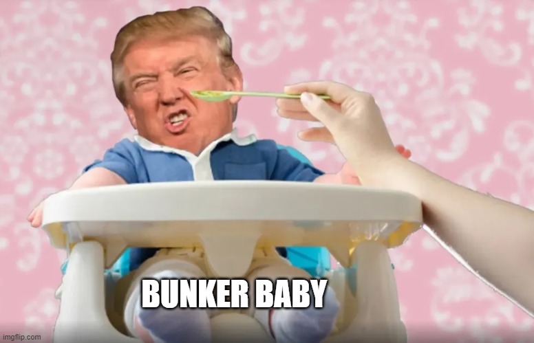 Bunker baby  inspected the bunker. Did not like the food. | BUNKER BABY | image tagged in bunker baby,coward,traitor,impeached,trump baby,crying trump baby | made w/ Imgflip meme maker