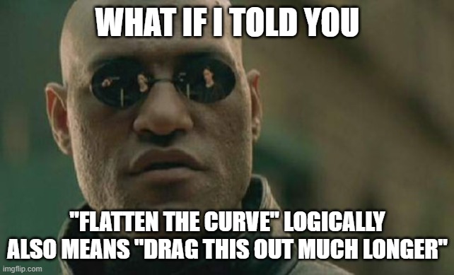 Matrix Morpheus Meme | WHAT IF I TOLD YOU "FLATTEN THE CURVE" LOGICALLY ALSO MEANS "DRAG THIS OUT MUCH LONGER" | image tagged in memes,matrix morpheus | made w/ Imgflip meme maker