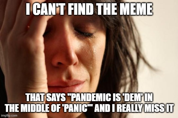 First World Problems Meme | I CAN'T FIND THE MEME THAT SAYS "PANDEMIC IS 'DEM' IN THE MIDDLE OF 'PANIC'" AND I REALLY MISS IT | image tagged in memes,first world problems | made w/ Imgflip meme maker