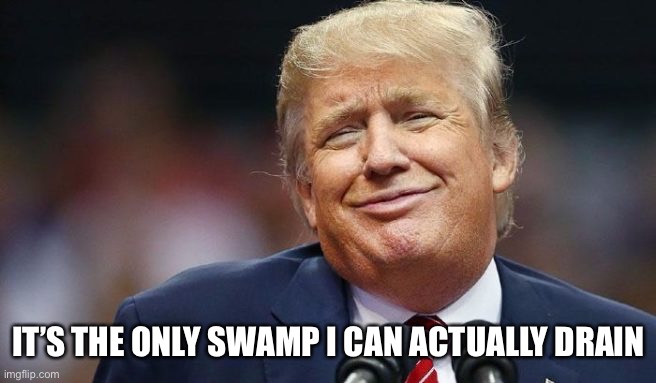 Trump smug immature | IT’S THE ONLY SWAMP I CAN ACTUALLY DRAIN | image tagged in trump smug immature | made w/ Imgflip meme maker