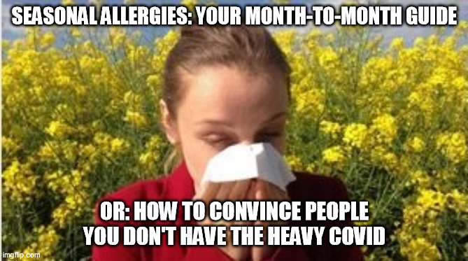 Seasonal Allergies? | SEASONAL ALLERGIES: YOUR MONTH-TO-MONTH GUIDE; OR: HOW TO CONVINCE PEOPLE YOU DON'T HAVE THE HEAVY COVID | image tagged in allergy,covid | made w/ Imgflip meme maker