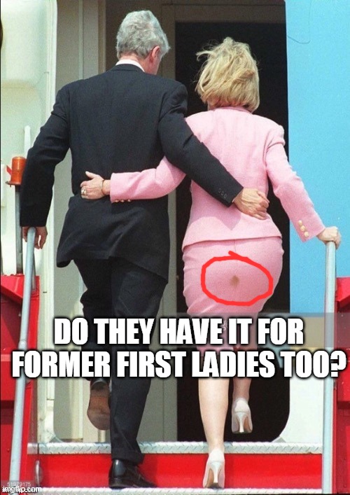 Hillary Shit stain | DO THEY HAVE IT FOR FORMER FIRST LADIES TOO? | image tagged in hillary shit stain | made w/ Imgflip meme maker