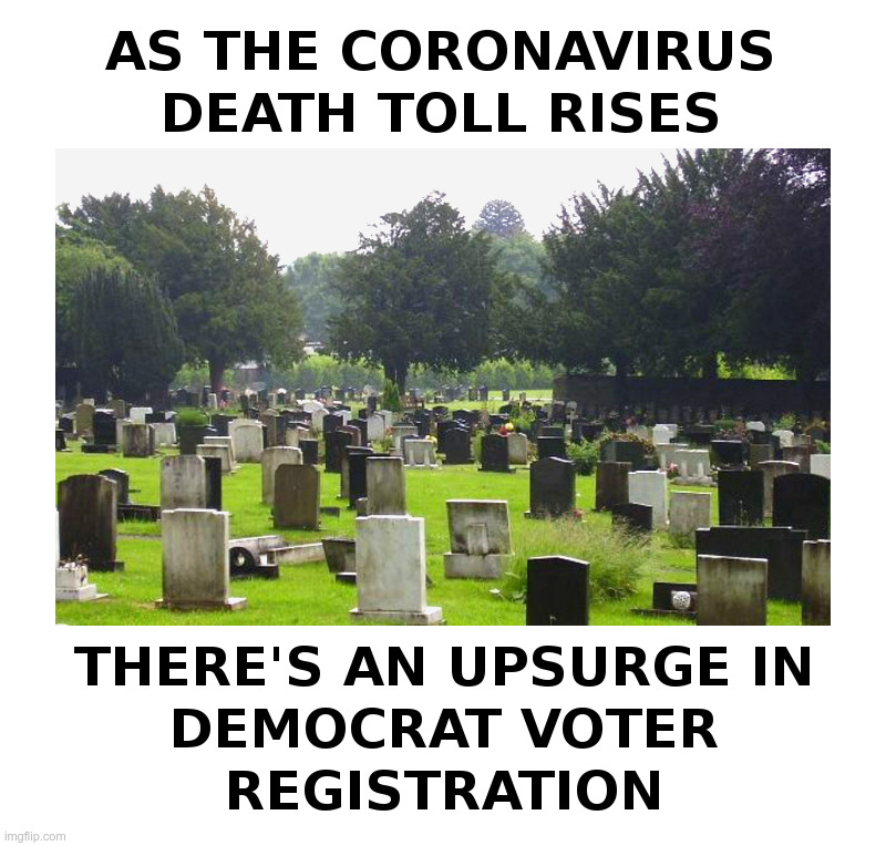Who Could Have Seen This Coming? | image tagged in democrat,graveyard,voters,coronavirus,lockdown,forever | made w/ Imgflip meme maker