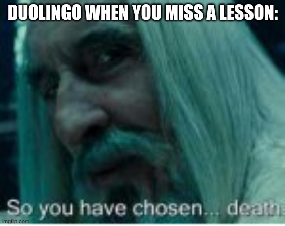 don't miss your duolingo lessons! | DUOLINGO WHEN YOU MISS A LESSON: | image tagged in dont,miss,your,duolingo,lessons | made w/ Imgflip meme maker