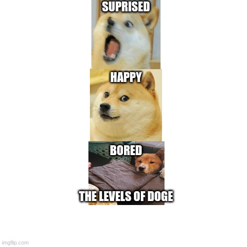 Levels Of Doge | SUPRISED; HAPPY; BORED; THE LEVELS OF DOGE | image tagged in uh oh,oh crap,no,noooooooooooooooooooooooo,nuuuuuuuuuuuuuuuuuuuuuuuuuuuuuuu | made w/ Imgflip meme maker