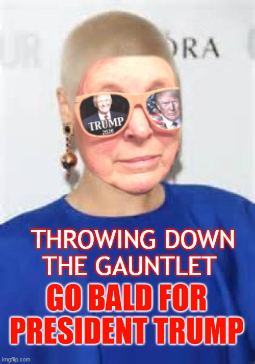 THROWING DOWN THE GAUNTLET; GO BALD FOR PRESIDENT TRUMP | made w/ Imgflip meme maker