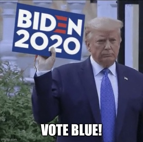 Joe Biden For President | VOTE BLUE! | image tagged in joe biden,vote blue,donald trump,biden 2020,trump for prison 2020 | made w/ Imgflip meme maker