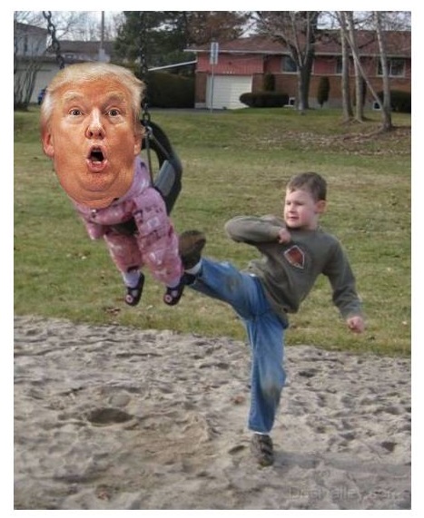 KICK TRUMP OUT and SWING Blank Meme Template