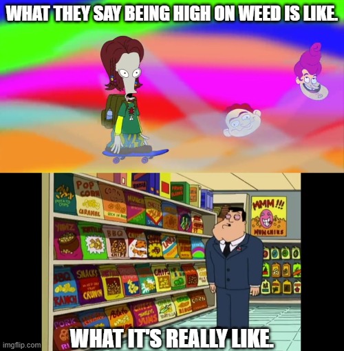 Weed | WHAT THEY SAY BEING HIGH ON WEED IS LIKE. WHAT IT'S REALLY LIKE. | image tagged in weed,american dad,satire,comedy | made w/ Imgflip meme maker