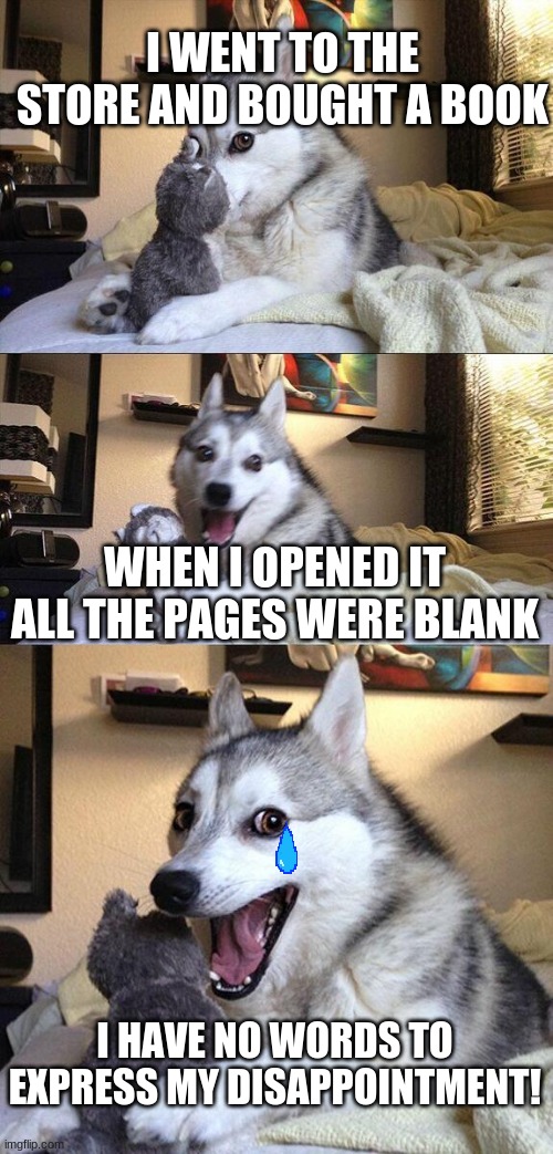 Bad Pun Dog Meme | I WENT TO THE STORE AND BOUGHT A BOOK; WHEN I OPENED IT ALL THE PAGES WERE BLANK; I HAVE NO WORDS TO EXPRESS MY DISAPPOINTMENT! | image tagged in memes,bad pun dog | made w/ Imgflip meme maker