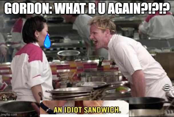 Angry Chef Gordon Ramsay Meme | GORDON: WHAT R U AGAIN?!?!? PERSON: AN IDIOT SANDWITCH! | image tagged in memes,angry chef gordon ramsay | made w/ Imgflip meme maker