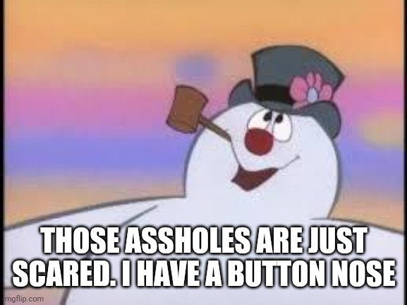 Frosty | THOSE ASSHOLES ARE JUST SCARED. I HAVE A BUTTON NOSE | image tagged in frosty | made w/ Imgflip meme maker