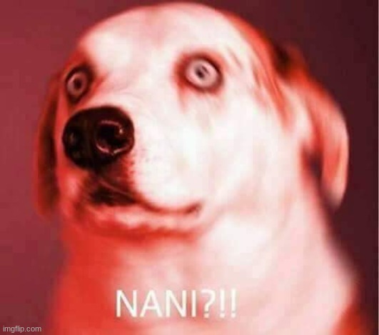 Nani? | image tagged in nani | made w/ Imgflip meme maker