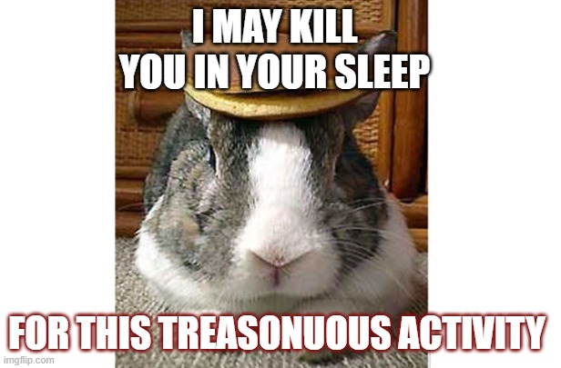 Pancake bunny | I MAY KILL YOU IN YOUR SLEEP; FOR THIS TREASONUOUS ACTIVITY | image tagged in pancake bunny | made w/ Imgflip meme maker