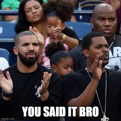 Drake Clapping | YOU SAID IT BRO | image tagged in drake clapping | made w/ Imgflip meme maker