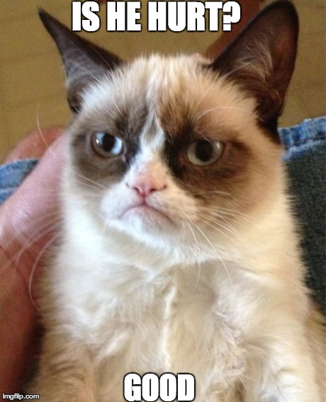 Grumpy Cat Meme | IS HE HURT?
 GOOD | image tagged in memes,grumpy cat | made w/ Imgflip meme maker