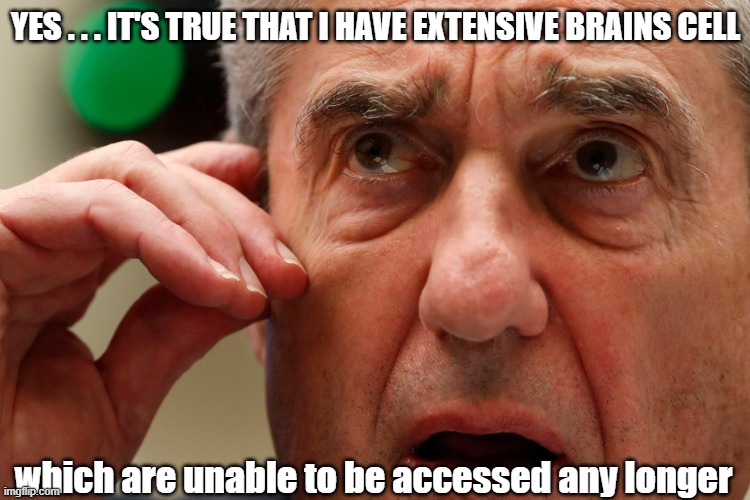 Democrats assure Republicans of Mueller's extensive brain cells | YES . . . IT'S TRUE THAT I HAVE EXTENSIVE BRAINS CELL; which are unable to be accessed any longer | image tagged in bob mueller,extensive brain cells | made w/ Imgflip meme maker
