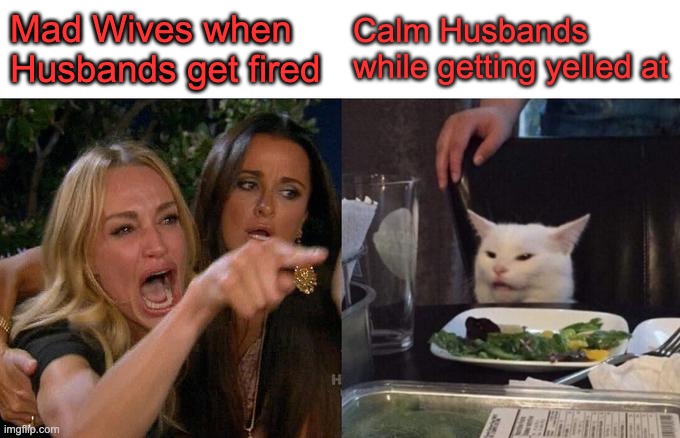 mad wives | Mad Wives when Husbands get fired; Calm Husbands while getting yelled at | image tagged in memes,woman yelling at cat | made w/ Imgflip meme maker