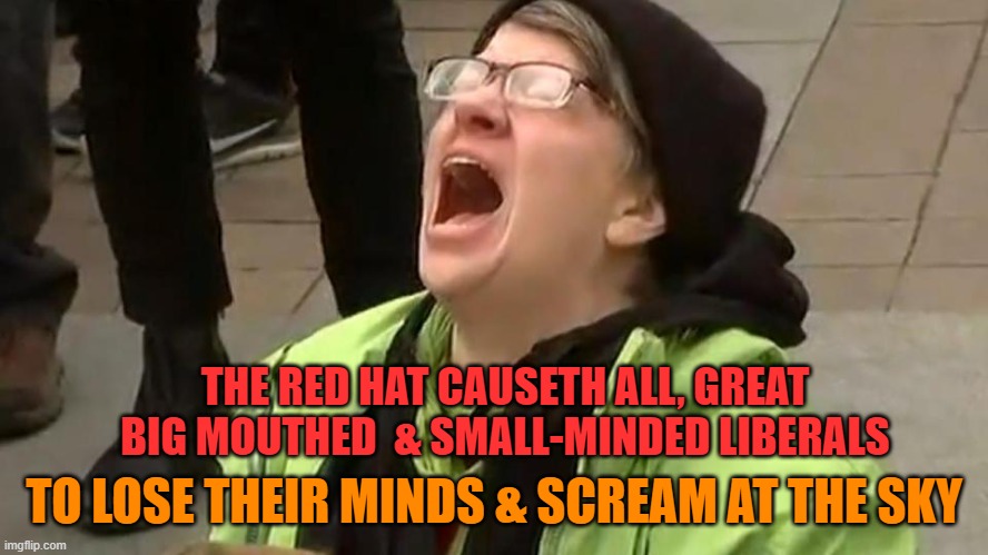 Sky Screamer | THE RED HAT CAUSETH ALL, GREAT BIG MOUTHED  & SMALL-MINDED LIBERALS TO LOSE THEIR MINDS & SCREAM AT THE SKY | image tagged in sky screamer | made w/ Imgflip meme maker