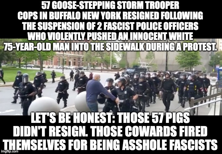 57 Police Officers quit after 2 are suspended | 57 GOOSE-STEPPING STORM TROOPER COPS IN BUFFALO NEW YORK RESIGNED FOLLOWING THE SUSPENSION OF 2 FASCIST POLICE OFFICERS WHO VIOLENTLY PUSHED AN INNOCENT WHITE 75-YEAR-OLD MAN INTO THE SIDEWALK DURING A PROTEST. LET'S BE HONEST: THOSE 57 PIGS DIDN'T RESIGN. THOSE COWARDS FIRED THEMSELVES FOR BEING ASSHOLE FASCISTS | image tagged in martin gugino,trump george floyd | made w/ Imgflip meme maker