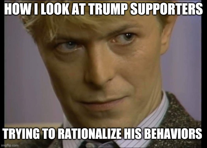 Bowie interview | HOW I LOOK AT TRUMP SUPPORTERS; TRYING TO RATIONALIZE HIS BEHAVIORS | image tagged in political meme | made w/ Imgflip meme maker