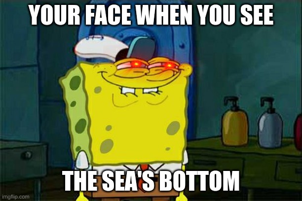 Don't You Squidward Meme | YOUR FACE WHEN YOU SEE; THE SEA'S BOTTOM | image tagged in memes,don't you squidward | made w/ Imgflip meme maker