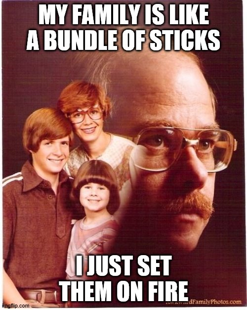 Vengeance Dad Meme | MY FAMILY IS LIKE A BUNDLE OF STICKS; I JUST SET THEM ON FIRE | image tagged in memes,vengeance dad | made w/ Imgflip meme maker
