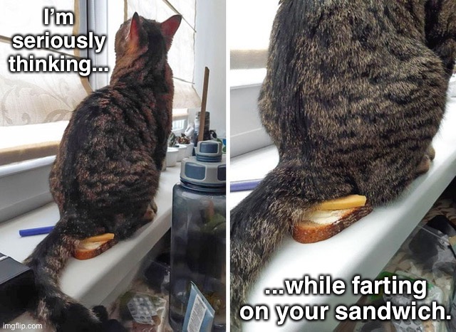 I’m seriously thinking... ...while farting on your sandwich. | made w/ Imgflip meme maker