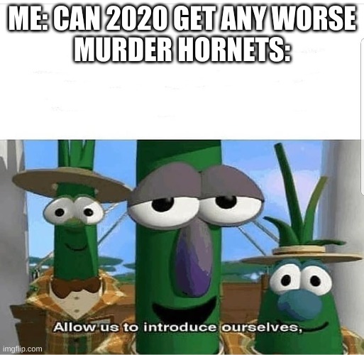 Allow us to introduce ourselves | ME: CAN 2020 GET ANY WORSE
MURDER HORNETS: | image tagged in allow us to introduce ourselves | made w/ Imgflip meme maker