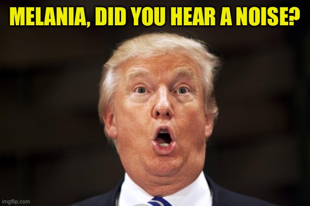 MELANIA, DID YOU HEAR A NOISE? | made w/ Imgflip meme maker