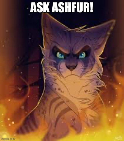 ASK ASHFUR! | made w/ Imgflip meme maker