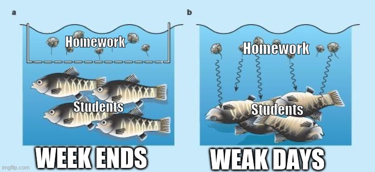 Da werk fishes | Homework; Homework; Students; Students; WEEK ENDS; WEAK DAYS | image tagged in fish,homework,work,weekend,weekdays | made w/ Imgflip meme maker