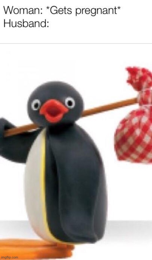 this shit literally killed me lmfao | image tagged in memes,pingu | made w/ Imgflip meme maker