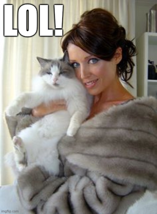 Dannii cat | LOL! | image tagged in dannii cat | made w/ Imgflip meme maker