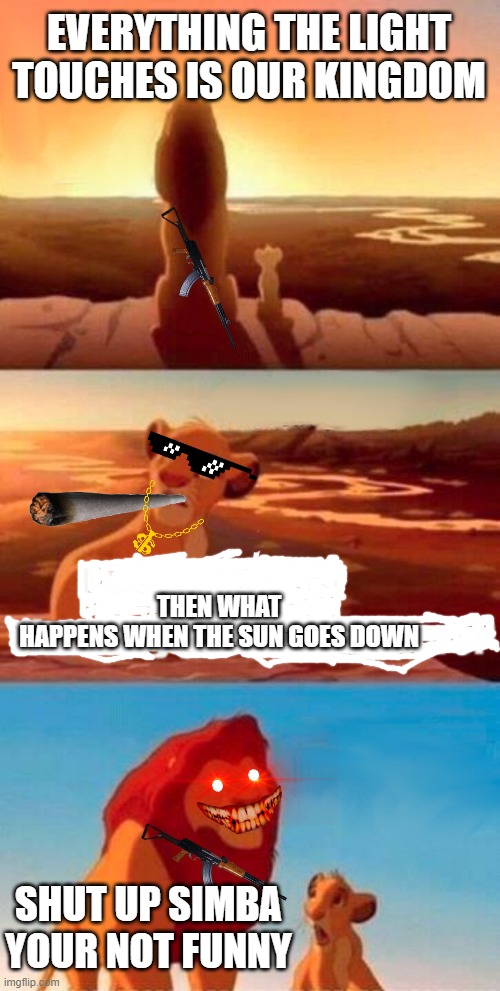 Simba Shadowy Place | EVERYTHING THE LIGHT TOUCHES IS OUR KINGDOM; THEN WHAT
HAPPENS WHEN THE SUN GOES DOWN; SHUT UP SIMBA YOUR NOT FUNNY | image tagged in memes,simba shadowy place,funny,swag,simba,mufasa and simba | made w/ Imgflip meme maker