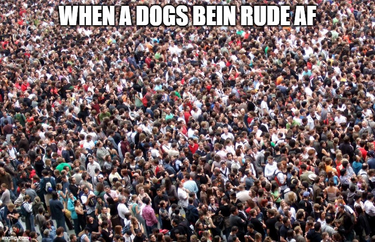 crowd of people | WHEN A DOGS BEIN RUDE AF | image tagged in crowd of people | made w/ Imgflip meme maker